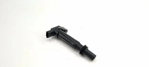 Citroen C4 II Picasso High voltage ignition coil 29899002401 19050086