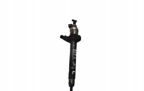 Citroen Jumper Fuel injector