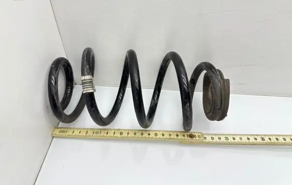 Rear coil spring