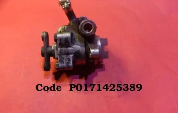 Chrysler Voyager Power steering pump P0171425389