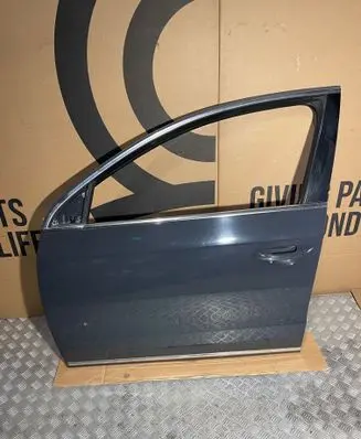 Volkswagen PASSAT B7 Front door LI7F