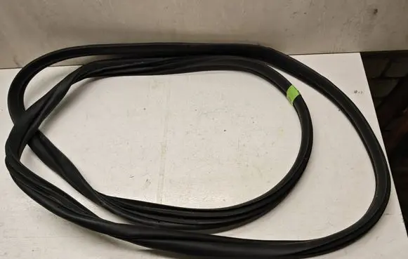Hyundai Ioniq 5 Rear door rubber seal (on body) 