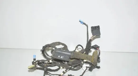 Front door wiring loom