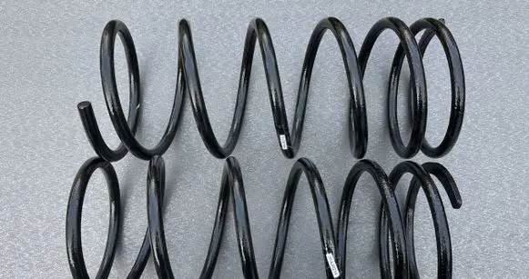 Mitsubishi Pajero Rear coil spring MB663576