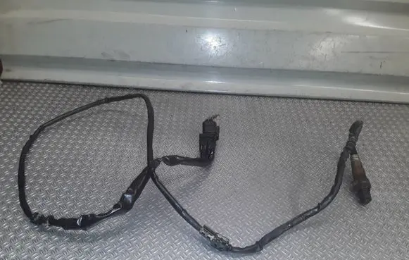 Porsche Cayenne (9PA) Lambda probe sensor 0258007157