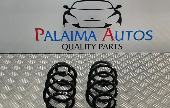 Rear coil spring