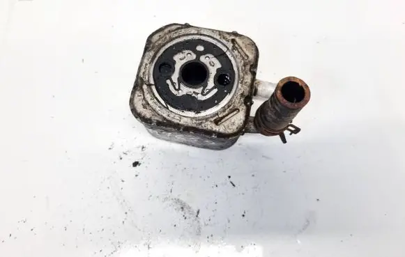 Audi A6 S6 C5 4B Engine oil radiator 