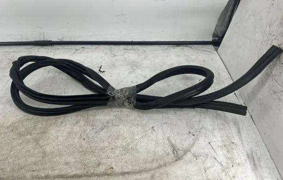 Nissan Qashqai Rubber seal rear door