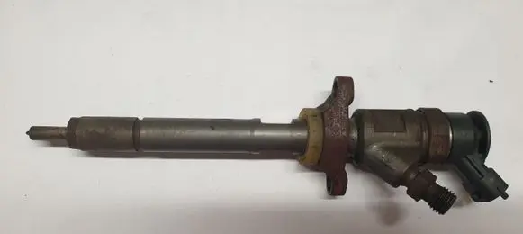 Peugeot Partner Fuel injector 620033