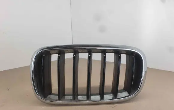 BMW X6 F16 Front bumper upper radiator grill 7316075