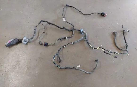 Front door wiring loom