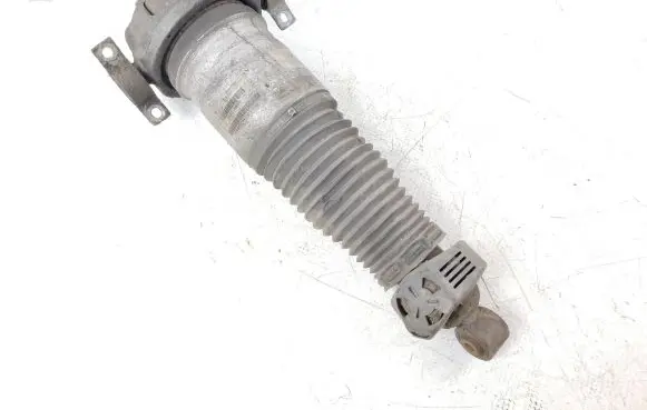 Porsche Cayenne (9PA) Rear shock absorber/damper 7L6512022E