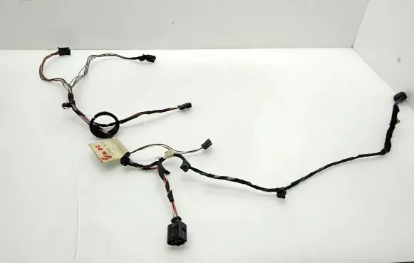 Front door wiring loom