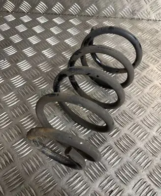 Rear coil spring