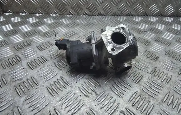 Citroen C4 Grand Picasso EGR valve 9672880080 V29006980
