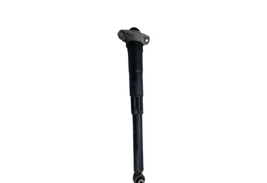 Volkswagen Tiguan Rear shock absorber/damper 5QF513049T