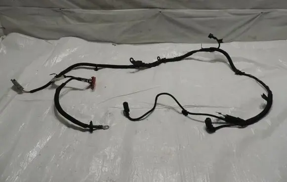 Engine installation wiring loom