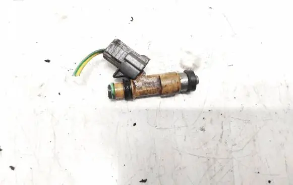 Subaru Outback Fuel injector 009072117