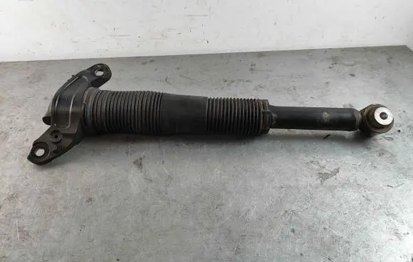 Land Rover Discovery Sport Rear shock absorber/damper LR098141 LR061355