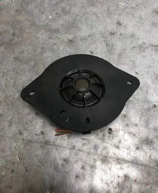 Front door high frequency speaker