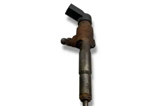 Ford Transit - Tourneo Connect Fuel injector 7T1Q9F593AB