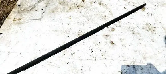Renault Scenic II - Grand scenic II Front door glass trim molding