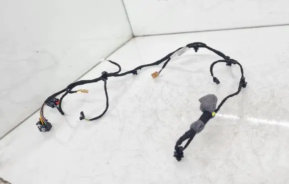 Porsche Taycan 9J1 Rear door wiring loom 9J1971120BM