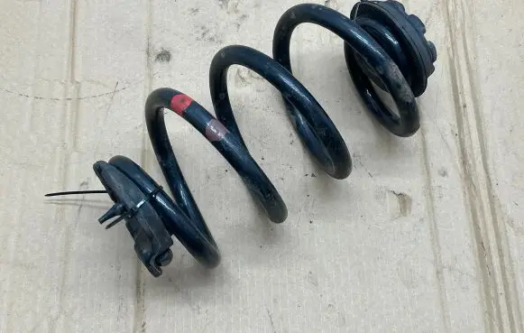 Rear coil spring
