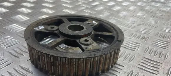 Camshaft pulley/ VANOS