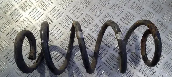 Rear coil spring