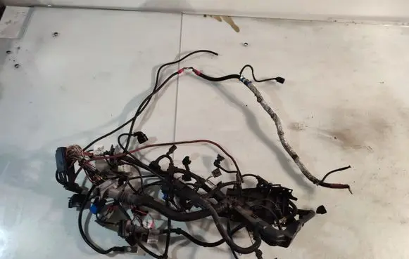 Engine installation wiring loom