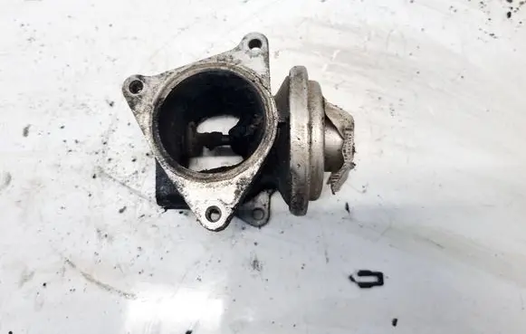 Volkswagen Golf V EGR valve 038131501S 041422082