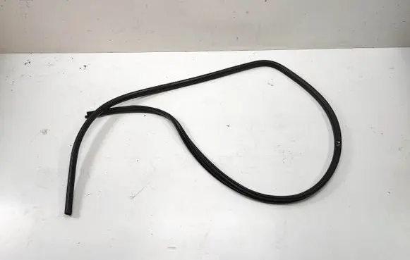 BMW X1 E84 Front door rubber seal 