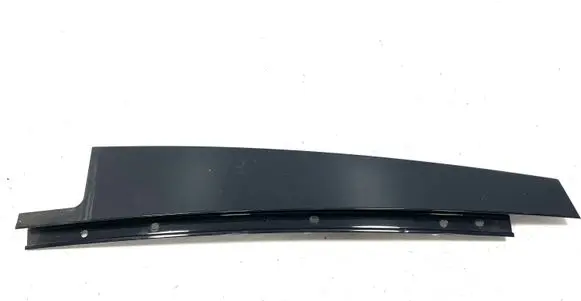BMW X5 E70 Rear door trim (molding)