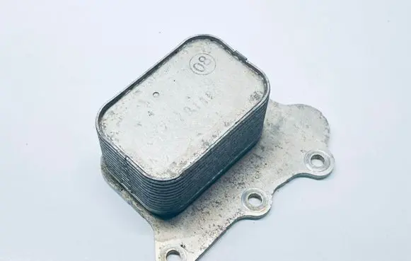 Suzuki SX4 S-Cross Oil filter mounting bracket 1660068M00
