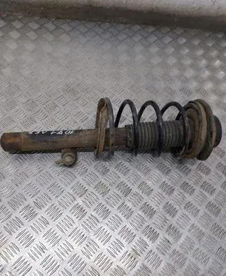 Peugeot 206 Front shock absorber with coil spring