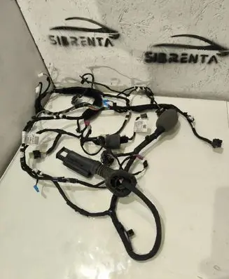 BMW M8 F91 F92 G14 G15 Front door wiring loom 9221028