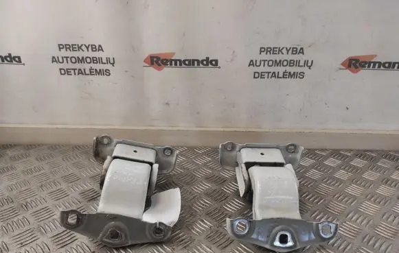 Rear door hinge set