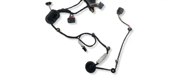 Volkswagen PASSAT B7 Rear door wiring loom 3AA971693CB
