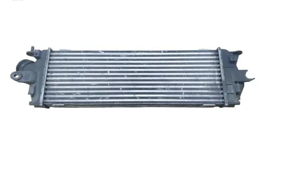 Renault Trafic II (X83) Intercooler radiator 8200411160 93854162 992563JB