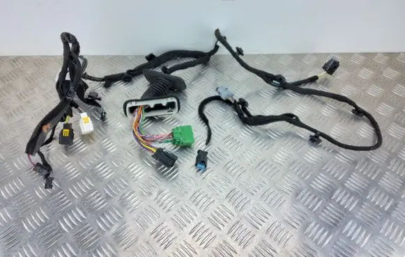 Front door wiring loom