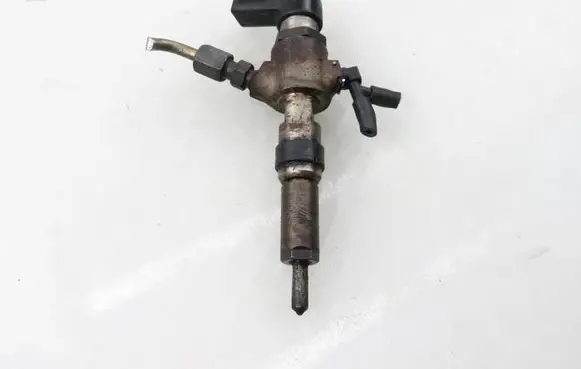 Citroen C2 Fuel injector 9654551080