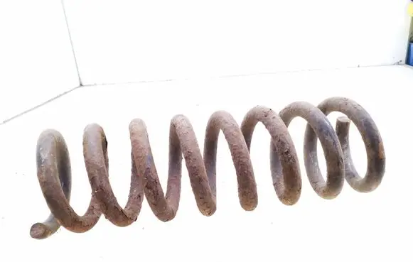 Rear coil spring