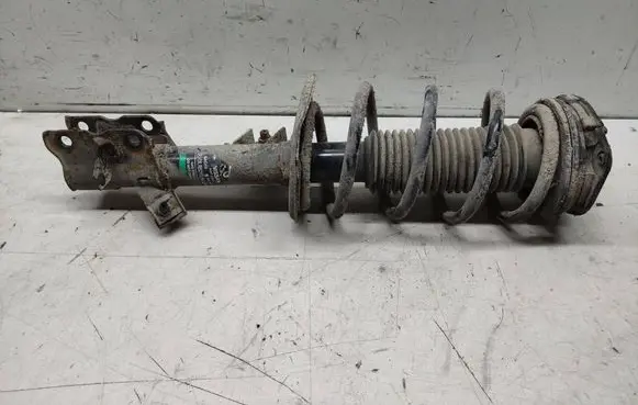 Nissan Qashqai Front shock absorber with coil spring 54302JD01A