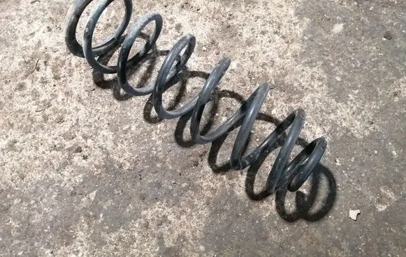 Rear coil spring
