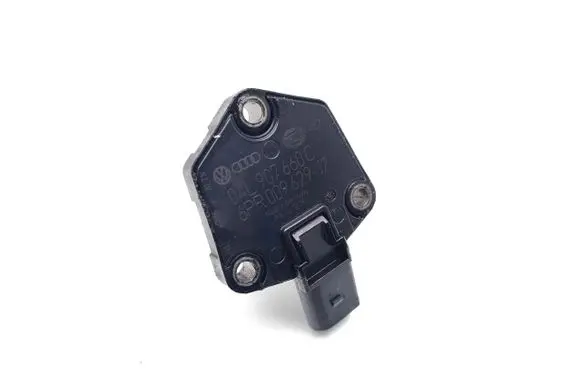 Skoda Superb B8 (3V) Oil level sensor 04L907660C 6PR009629
