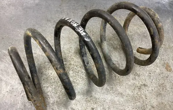 Rear coil spring