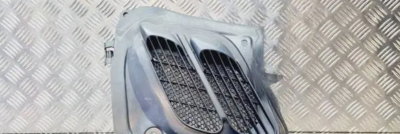 Peugeot 206 CC Bonnet/hood grill 96524576XT 96011620