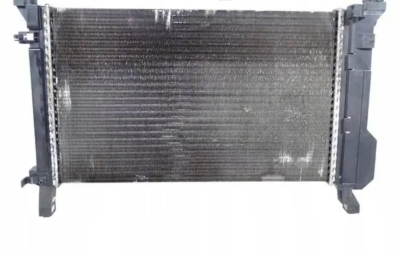 Mercedes-Benz A W169 Coolant radiator A1695000303