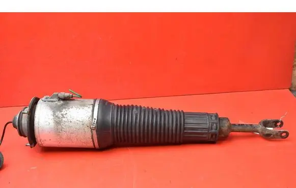 Audi A8 S8 D3 4E Front shock absorber/damper 4E0616040AG